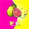 花儿直播高清下载